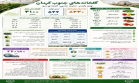 تولید پایدار، امنیت غذایی و آینده ای سبز / گلخانه های سبزی و صیفی جنوب کرمان